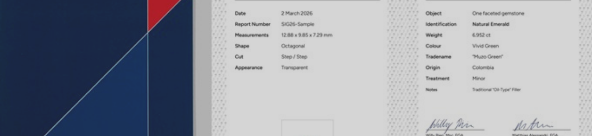 AI-supported lab offers faster turnaround for gemstone reports